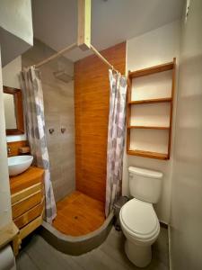 a bathroom with a shower and a toilet and a sink at Sosa Andina House in Huaraz