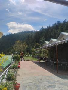 a porch of a house with a mountain in the background at Shivpur Greens in Mashobra