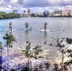 three people on paddle boards on a lake with a city at Star of the Olympus 1b Family Suite at Miramar Puerto Rico near beaches and Convention Center in San Juan +6 photos