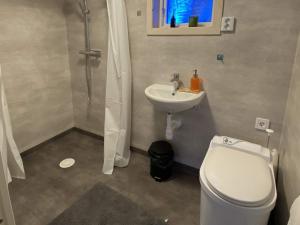 a bathroom with a toilet and a sink at 6 person holiday home in Ucklum-By Traum in Ucklum