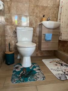 a bathroom with a toilet and a sink and a rug at Instant Locatif in Gourbeyre