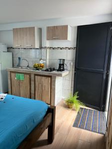 a kitchen with a large black door in a room at Instant Locatif in Gourbeyre
