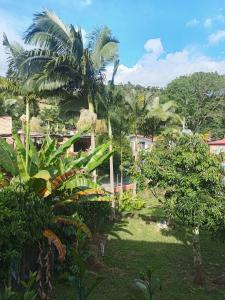 a view of a garden with palm trees at Ecocamping oasis in San Francisco +11 photos