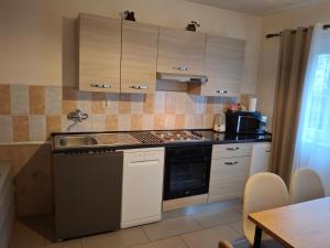 a kitchen with a sink and a stove top oven at Guesthouse Andrea in Poljanak +25 photos
