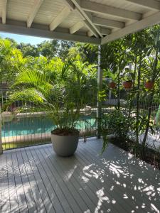 a patio with a pool and a plant at Somerset Palms Studio Apartment in Horseshoe Bay