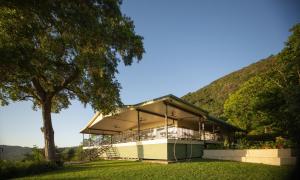 a house on the side of a hill with a tree at Vista Hinchinbrook in Cardwell