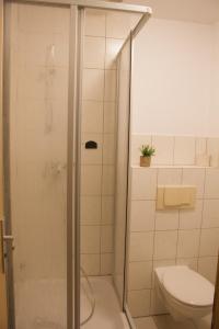 a bathroom with a shower and a toilet at Dahlmanns Pension am Park in Oranienbaum-Wörlitz +12 photos