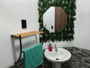 ein Badezimmer mit Waschbecken und Spiegel in der Unterkunft Hotel Dinopark in Salado