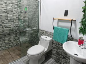 ein Badezimmer mit Toilette, Waschbecken und Dusche in der Unterkunft Hotel Dinopark in Salado