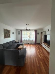 a living room with a couch and a television at Apartments Nicole in Baden