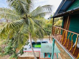 a palm tree in front of a house at Eco Tree House Yala in Tissamaharama +61 photos