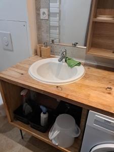 a bathroom sink with a green frog on top of it at chemin de compostelle in Montcuq