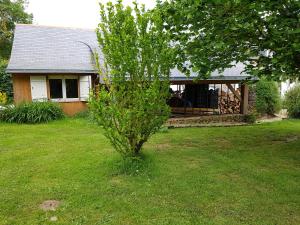 a small tree in a yard in front of a house at Chambre double dans longère in Soulaines-sur-Aubance +2 photos