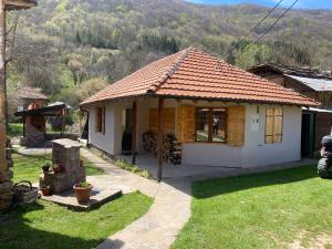 a small house in a yard with a mountain in the background at Vila Panic in Pirot