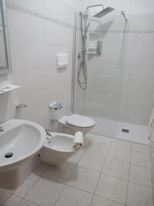 a bathroom with a shower and a toilet and a sink at Hotel San Giorgio in Vasto +41 photos