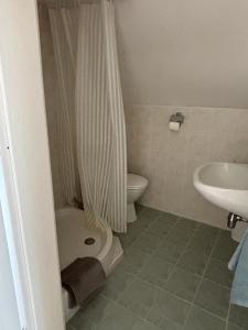 a bathroom with a shower and a toilet and a sink at Bogi House in Balatonfüred +16 photos