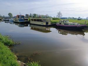 a group of boats are docked on a river at Baťův kanál Babice1 glamping in Babice +8 photos