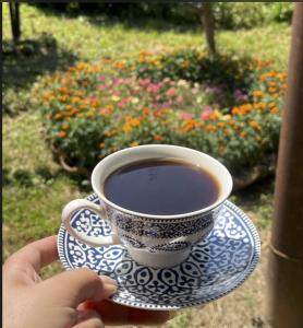 a person holding a cup of coffee on a saucer at Nia's Guesthouse in Zemo Alvani