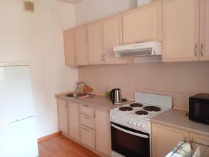 a small kitchen with a stove and a sink at Абай2 169 in Astana +1 photo