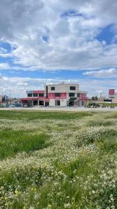 a building with a field of flowers in front of it at Airport sky in Amman