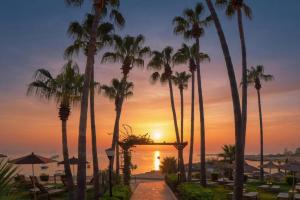 a sunset at the beach with palm trees at Cavo Maris Beach Hotel & Suites in Protaras