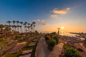 a view of a beach with palm trees and the ocean at Cavo Maris Beach Hotel & Suites in Protaras