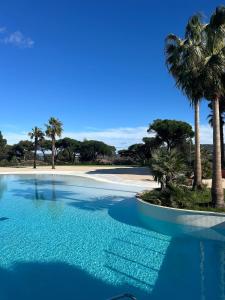 a swimming pool with palm trees and a beach at Californian style chalet in Gassin