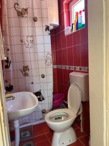 a bathroom with a toilet and a sink at Vikendica Aurora in Šabac