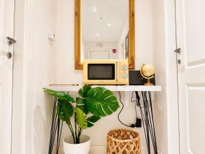 a microwave and a plant in a room with a mirror at Vertigini Suites, Il Rifugio dell Amore per SOLE COPPIE , A 50m dalla Stazione e dalla Via dell Amore con Vista Mare e Intimità Appagante in Riomaggiore