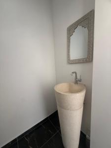 a bathroom with a sink and a mirror on the wall at Escale à Villeneuve in Villeneuve-sur-Yonne