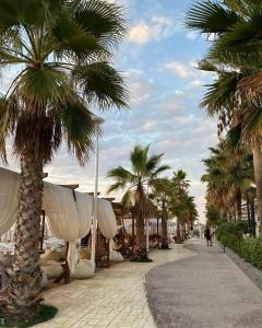 a sidewalk with palm trees on a beach at Nuovo Sun Golem in Golem