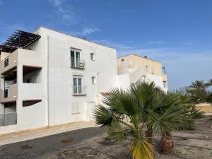 a white building with a palm tree in front of it at Vera Naked in Vera