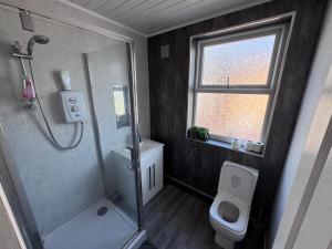 a bathroom with a shower and a toilet and a window at The Villas in Rock Ferry