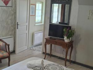 a living room with a tv on a table with a mirror at La Ferme aux Canards in Sassetot-le-Mauconduit