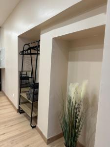 a room with a closet with a shelf and a plant at Studio design in Beaune