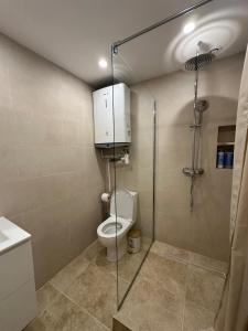 a bathroom with a toilet and a glass shower stall at Studio design in Beaune