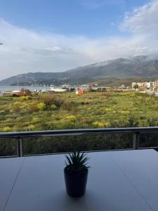 a potted plant sitting on a balcony looking out at the ocean at Ioanian Évasion in Vlorë