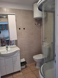 ein Badezimmer mit Toilette, Waschbecken und Dusche in der Unterkunft Stanar in Grgar