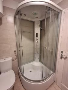 ein Badezimmer mit Dusche und Toilette in der Unterkunft Stanar in Grgar