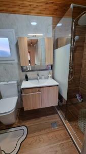 a bathroom with a toilet and a sink and a shower at Lingo garden house in Nea Irakleia +25 photos