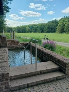a small pond with a bike in a field at Ferienwohnung Jahnke in Burkardroth