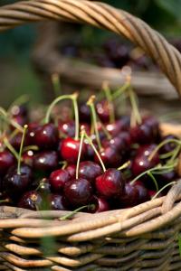 a basket full of cherries sitting on a table at Diekstuv Hotel in Jork