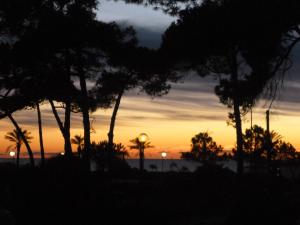 a sunset over the ocean with palm trees at Hotel Terme Marine Leopoldo II TERME & SPA in Marina di Grosseto
