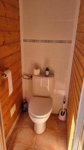 a bathroom with a toilet in a small room at STUDIO indépendant dans un chalet traditionnel in Ban-sur-Meurthe-Clefcy +4 photos