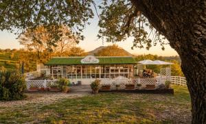 a restaurant with a green roof and a building at Agriturismo Verdesole in Civitella San Paolo