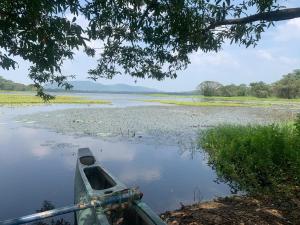 Gallery image of Lake Front Cottage & Authentic Local Restaurant in Sigiriya +31 photos