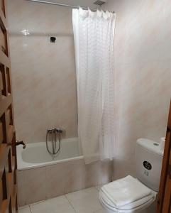 a bathroom with a shower curtain and a toilet at Hostal Restaurante Yagual in Sahagún