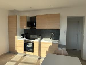 a kitchen with wooden cabinets and a sink at La Bergerie 2 in Neufchâteau