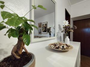 a plant sitting on a white counter next to a mirror at Toca da Raposa in Estremoz