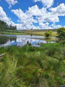 a person standing in the grass next to a lake at The GingerPig Inn in Die Ark
